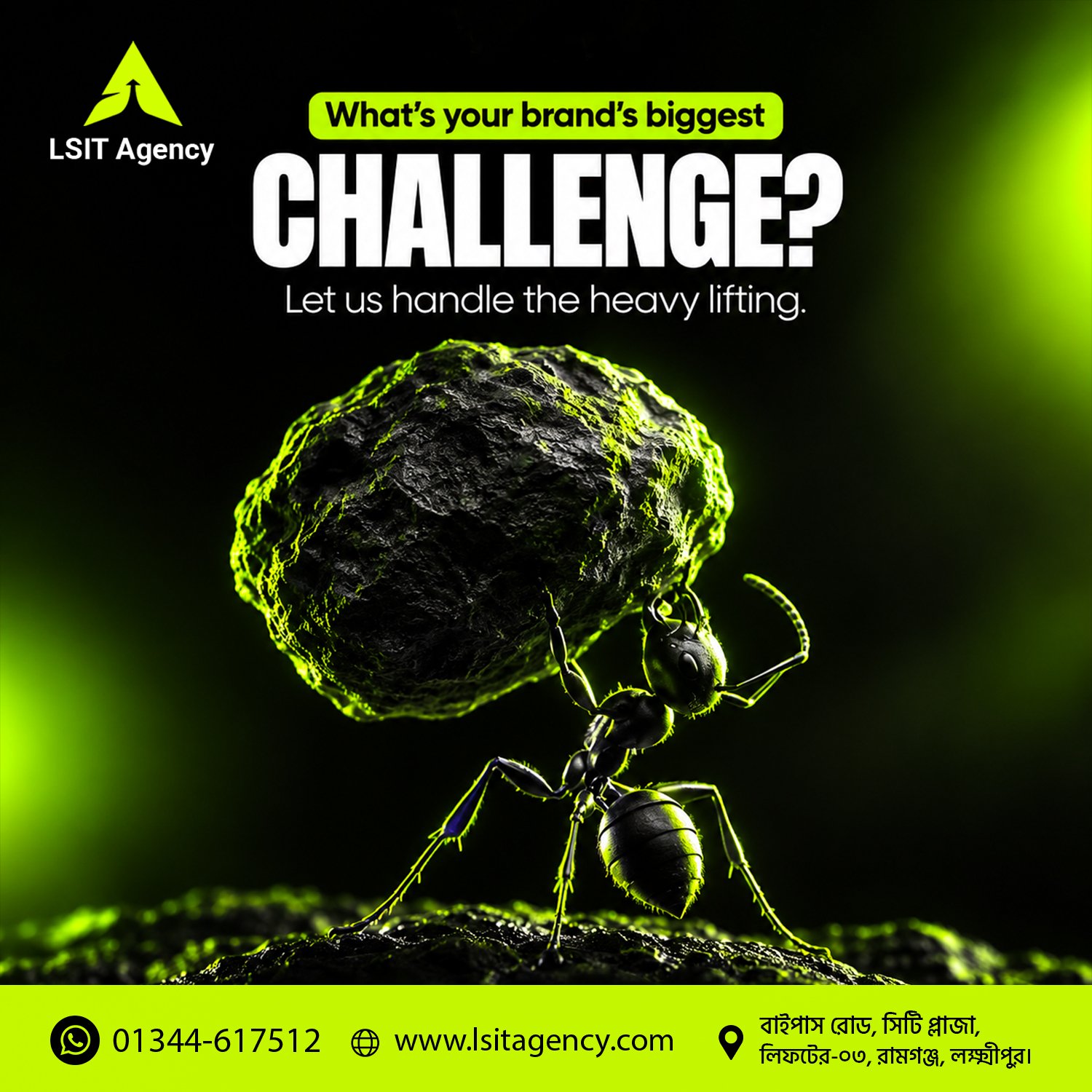 LSIT Agency graphic design project